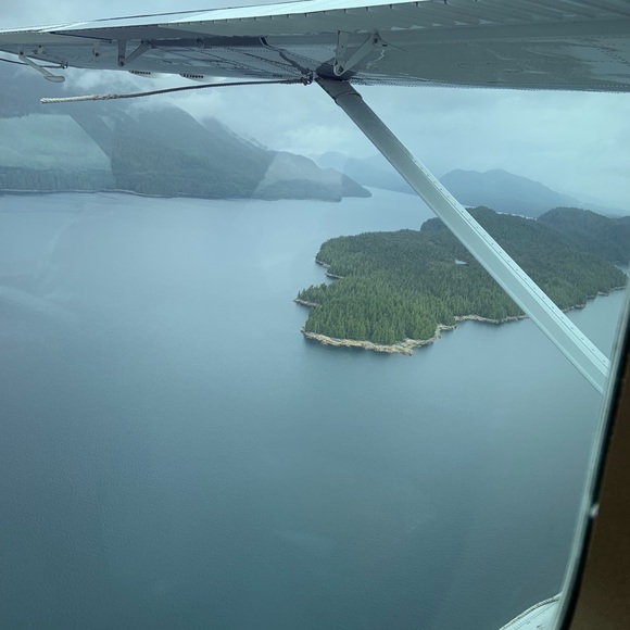 Meet your Posher, Debbie - Picture 1 of 1